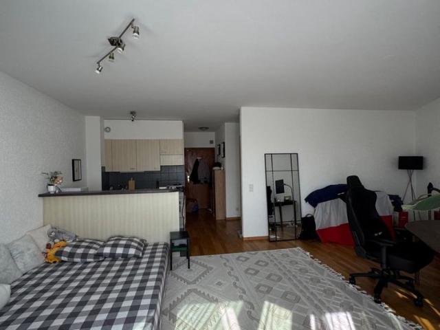 1.5 Zimmer, 48 m²