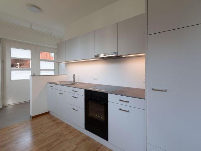 1.5 Zimmer, 48 m²