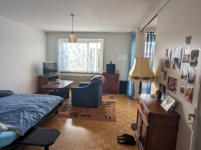 1.5 Zimmer, 40 m²