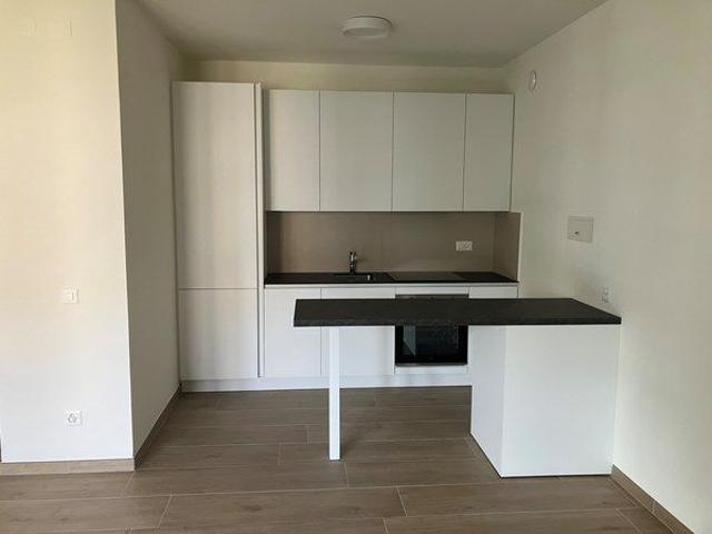 1.5 Zimmer, 40 m²