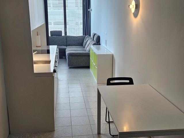 1.5 Zimmer, 41 m²