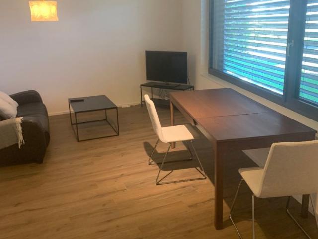 1.5 Zimmer, 43 m²