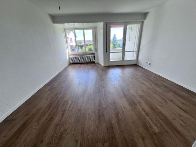 1.5 Zimmer, 43 m²