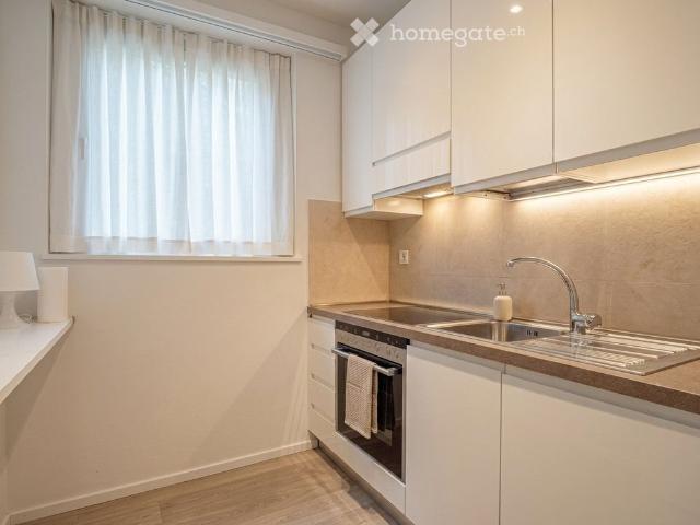 1.5 Zimmer, 55 m²