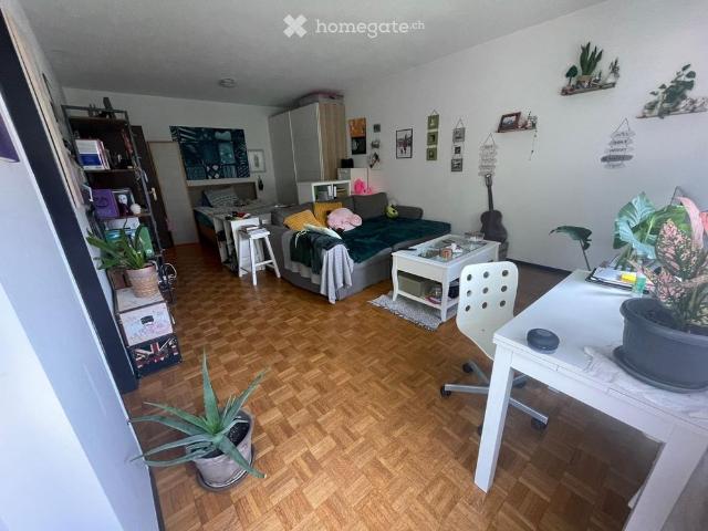 1.5 Zimmer, 50 m²