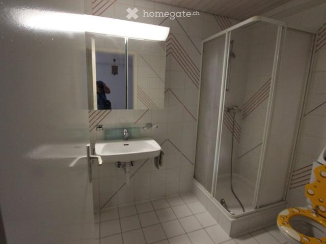 1.5 Zimmer, 50 m²