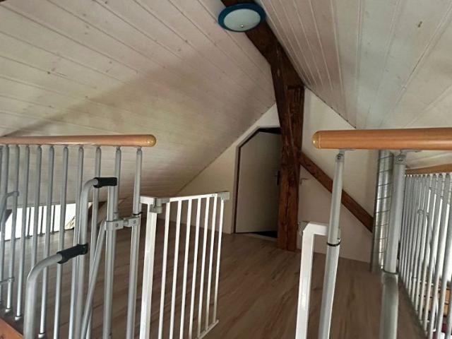 1.5 Zimmer, 50 m²