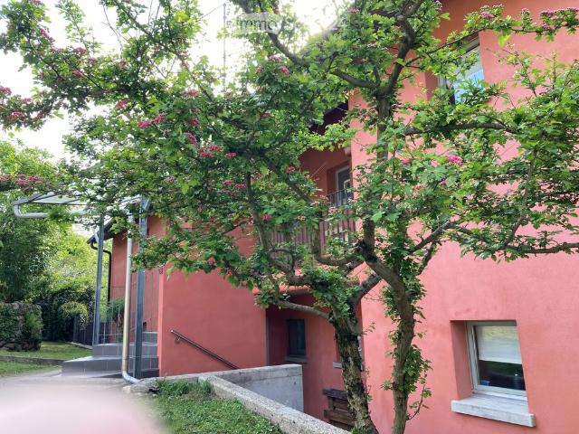 1.5 Zimmer, 52 m²