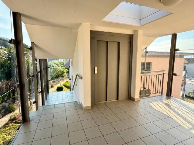 1.5 Zimmer, 53 m²
