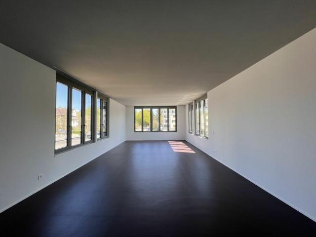 1.5 Zimmer, 87 m², 1. Stock