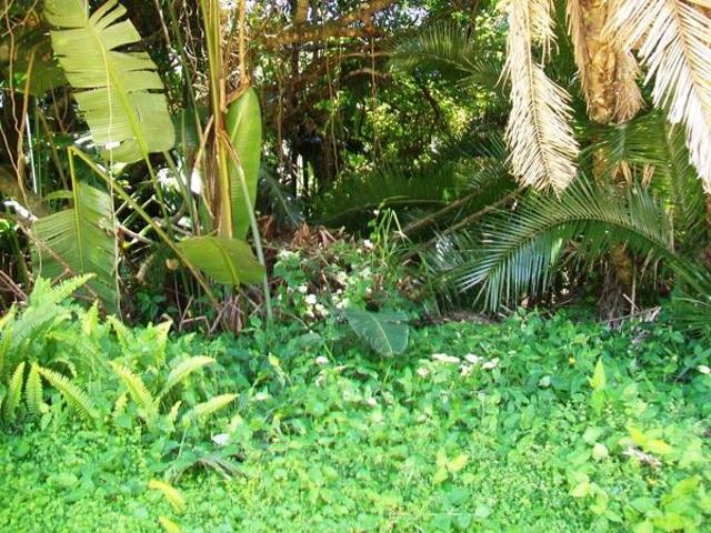 1 640 m² Land available in Palm Beach
