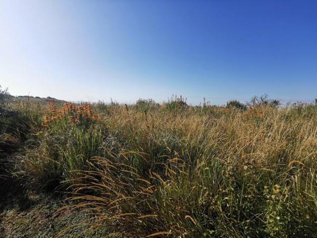 1 646 m² Land available in Port Edward