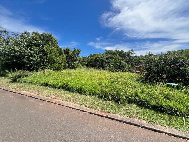 1,660m² Vacant Land For Sale in Zini River Estate