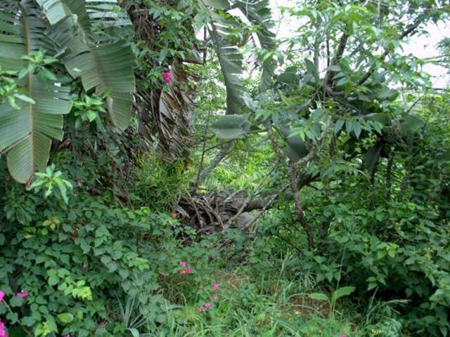 1 669 m² Land available in Salt Rock