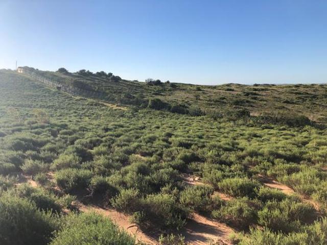 1 672 m² Land available in Sheffield Beach