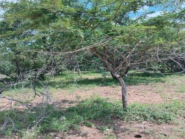 1 680 m² Land available in Marloth Park