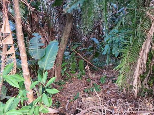1 682 m² Land available in Leisure Bay