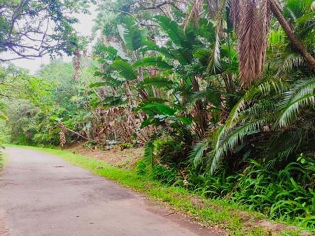 1 690 m² Land available in Marina Beach