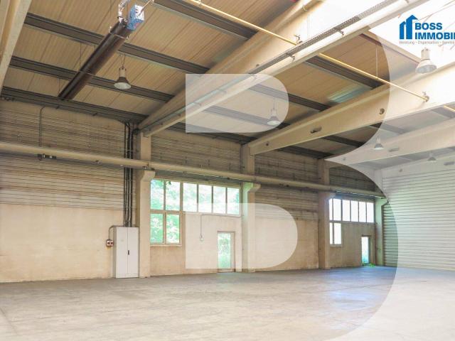 1.690m² Halle mit erstklassiger Verkehrsanbindung