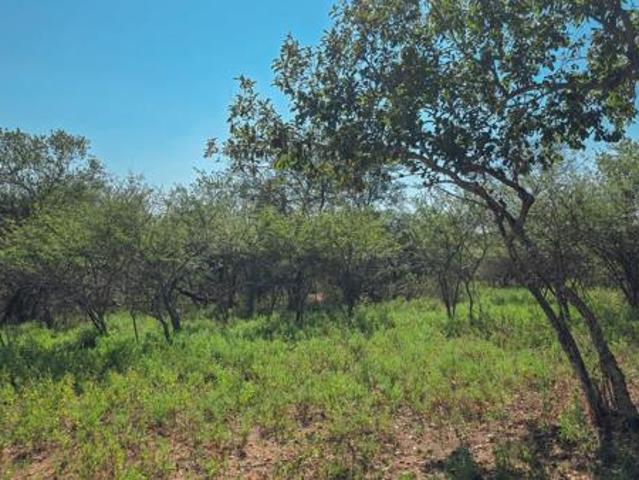 1 692 m² Land available in Marloth Park