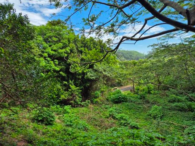 1 696 m² Land available in Umtentweni