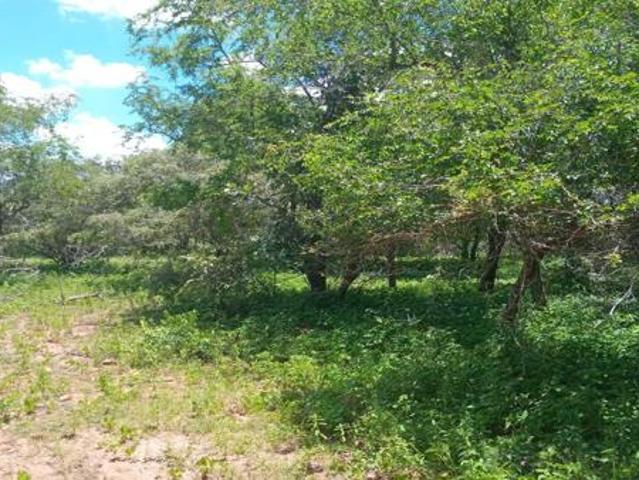 1 600 m² Land available in Marloth Park