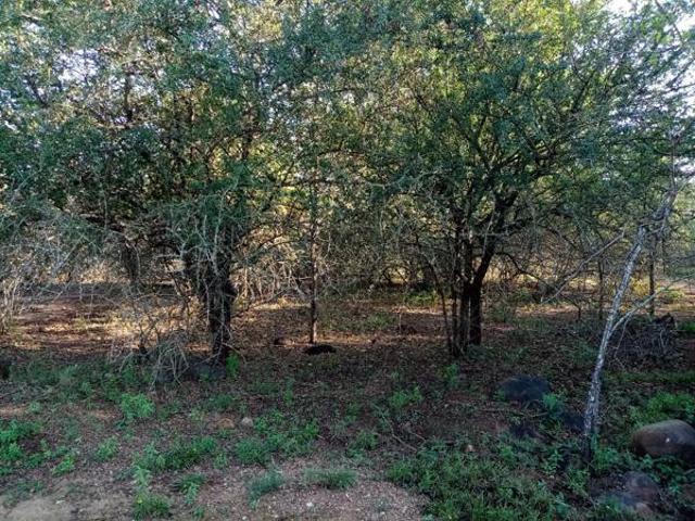 1 600 m² Land available in Marloth Park