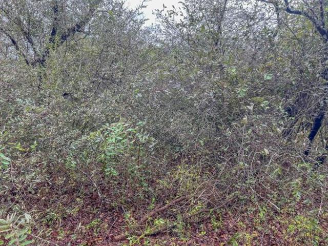 1 600 m² Land available in Marloth Park