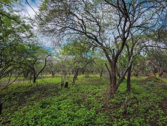1 600 m² Land available in Marloth Park