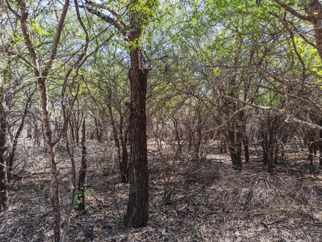 1 600 m² Land available in Marloth Park