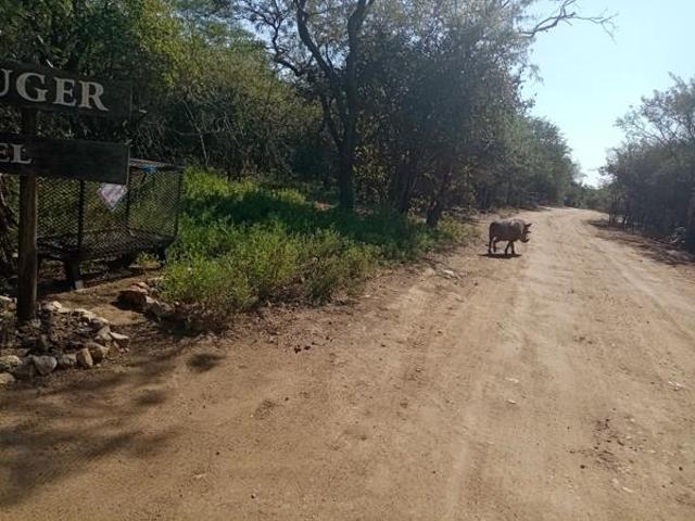 1 600 m² Land available in Marloth Park