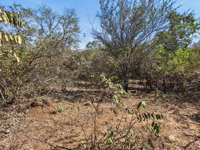 1 600 m² Land available in Marloth Park