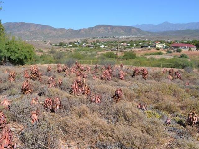 1 600 m² Land available in Calitzdorp