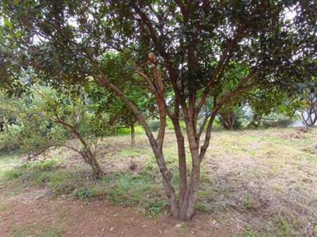 1 608 m² Land available in Ballito Central