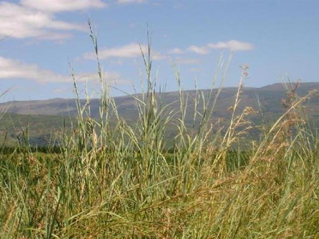 1 622 m² Land available in Sabie