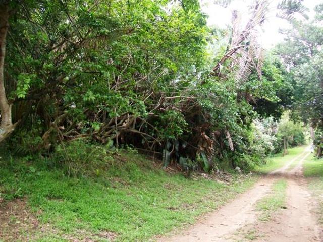 1 630 m² Land available in Palm Beach