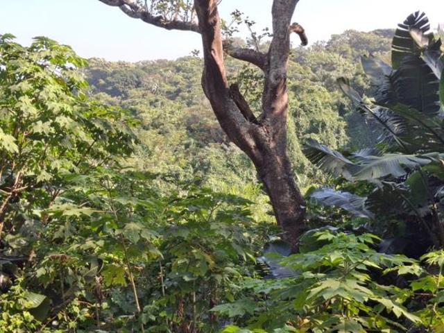 1 630 m² Land available in Umzumbe