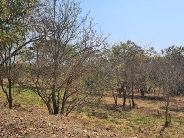 1 636 m² Land available in Sabie River Eco Estate
