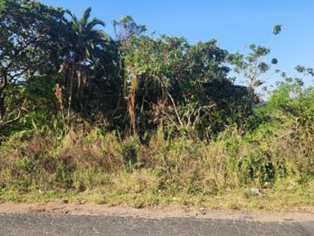 1 639 m² Land available in Palm Beach