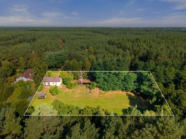 1 6 300 m², Krucz