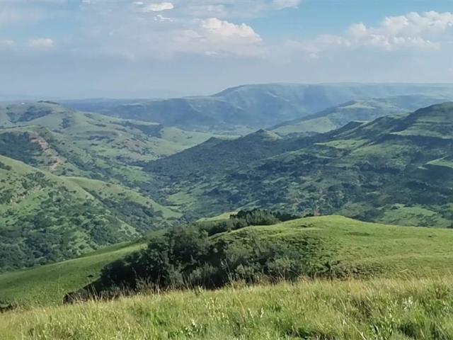 1.6 ha Farm in Bergville