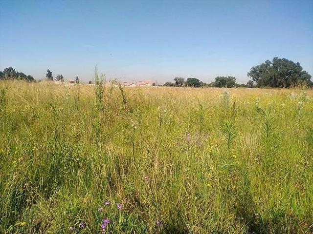 1.6 ha Land available in Kookrus