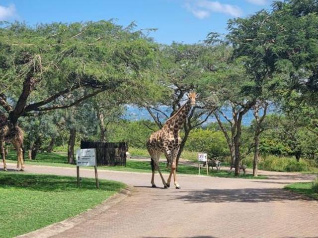 1.6 ha Land available in Wild Fig Estate