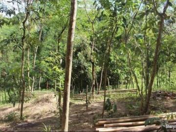 1. 6 Has Farm Lot for Sale located in Angat near DRT, Bulacan