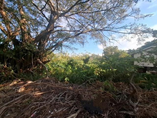 1 750 m² Land available in Margate