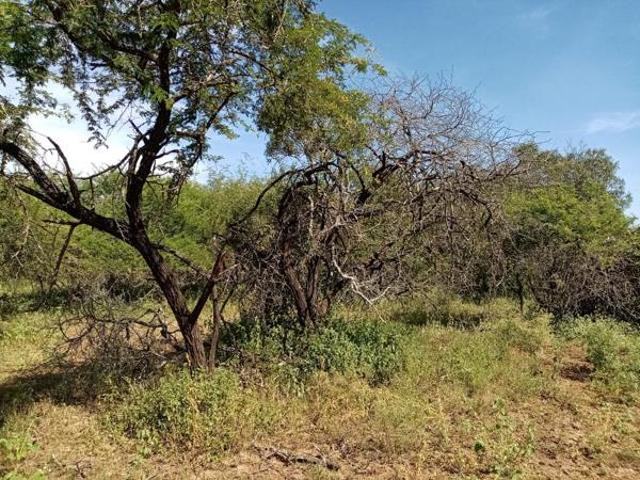 1 760 m² Land available in Marloth Park