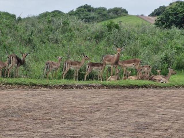 1 769 m² Land available in Leisure Bay