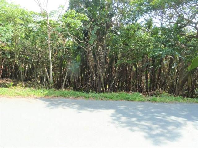 1 783 m² Land available in Margate