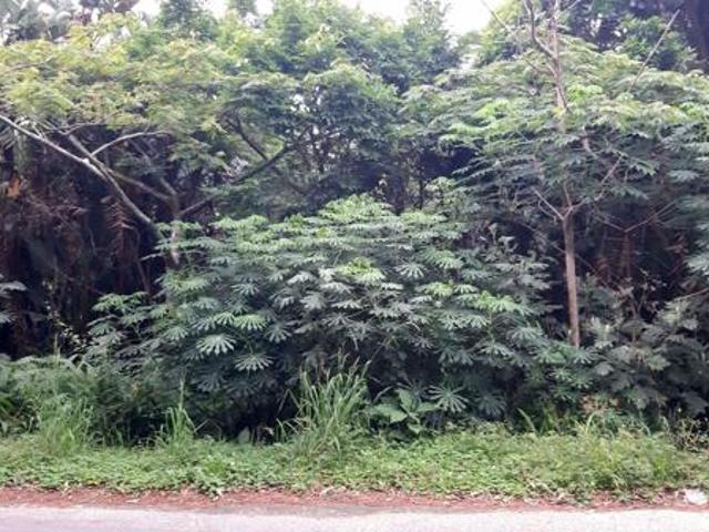 1 783 m² Land available in Margate