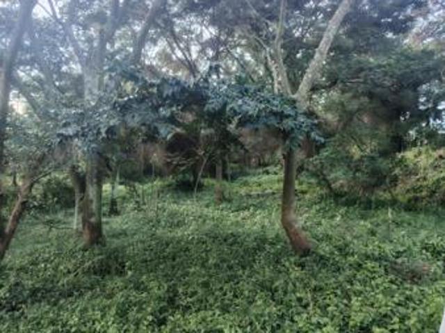 1 782 m² Land available in Seaton Estate